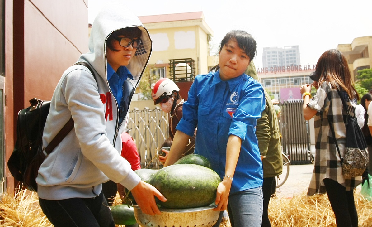 Sinh vien Ha Noi ban dua hau 7.000 dong giup nong dan hinh anh