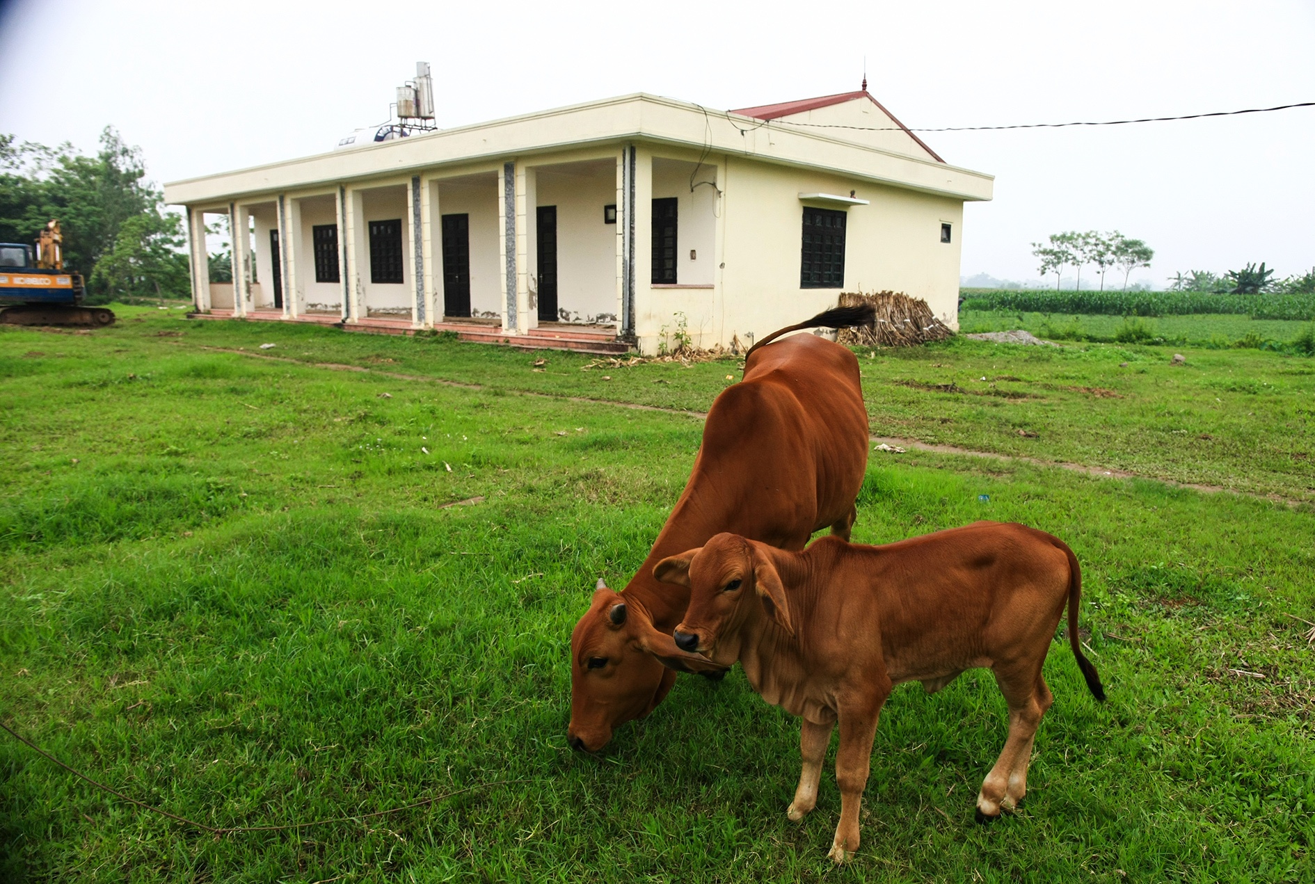 Truong mam non 4 ty dong bo hoang hinh anh