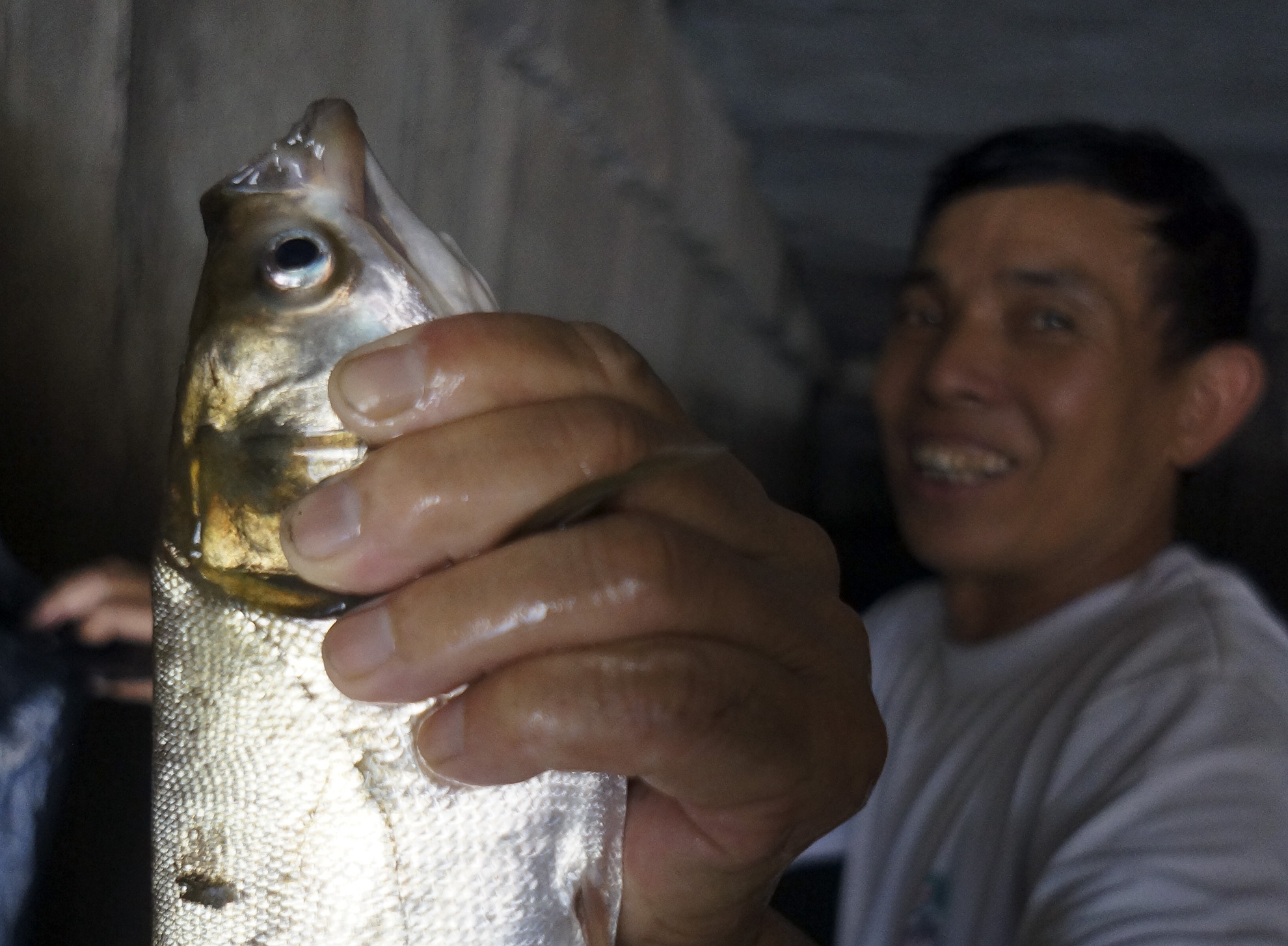 Bat hang tram con ca duoi cong sau mua bao hinh anh