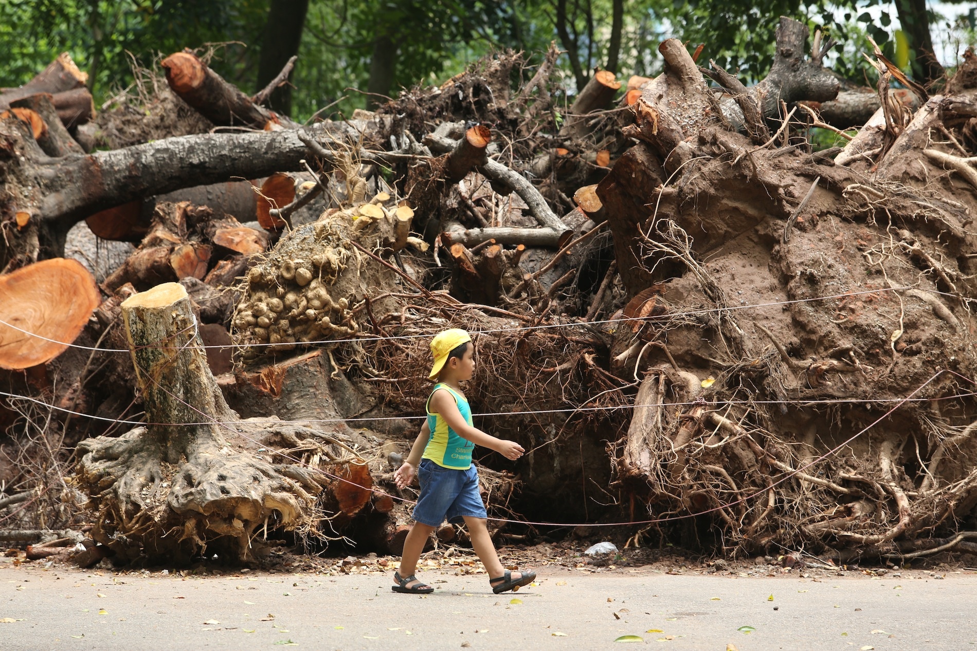 Bai tap ket go khong lo sau tran sieu dong o Ha Noi hinh anh