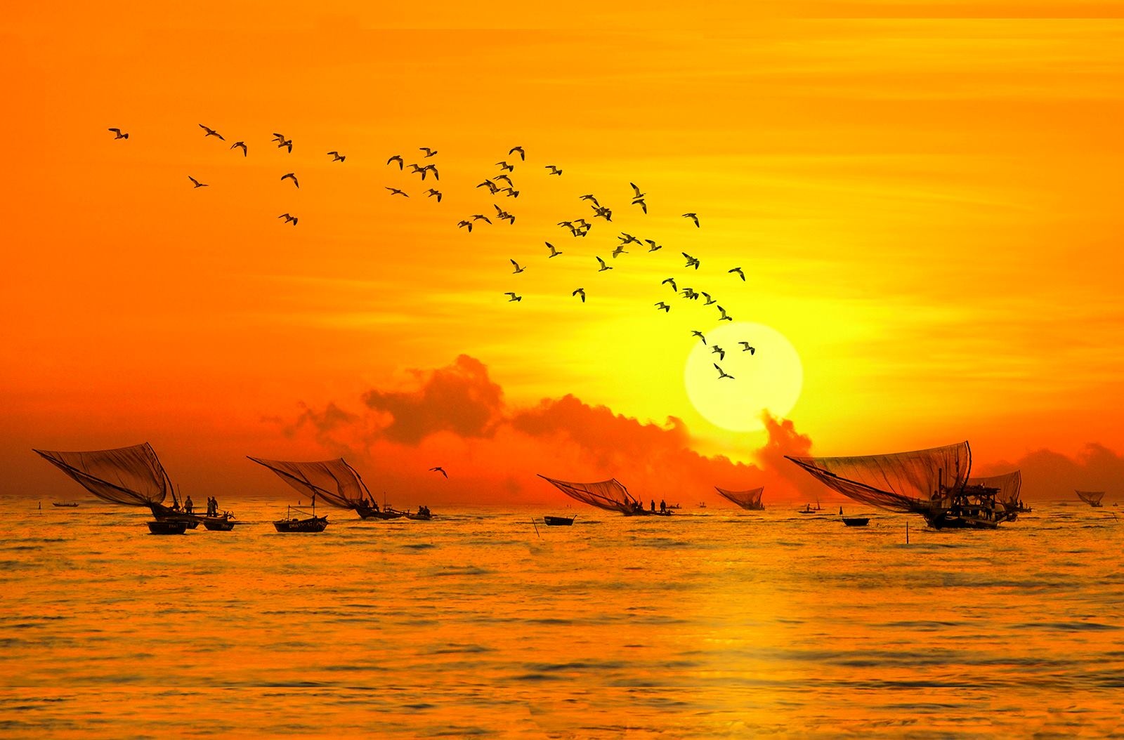 Nhung khoanh khac tuyet dep ve Da Nang hinh anh
