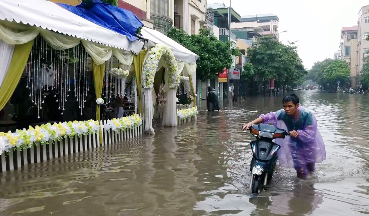 Canh ngap sau 70 cm o quan Long Bien hinh anh