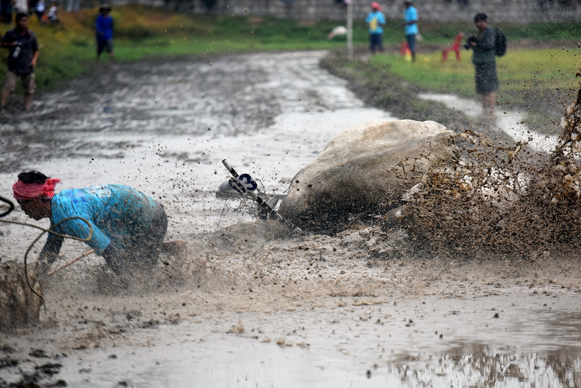 Bo huc khan gia nga lan tren duong dua mien Tay hinh anh