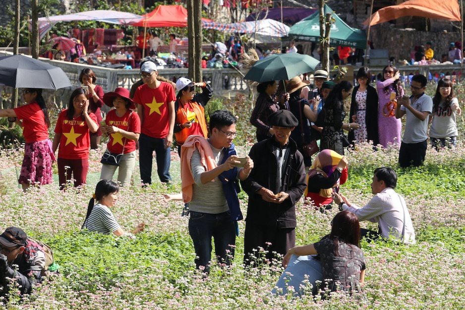 Nhon nhao o vuon hoa Tam giac mach Nha cua Pao hinh anh