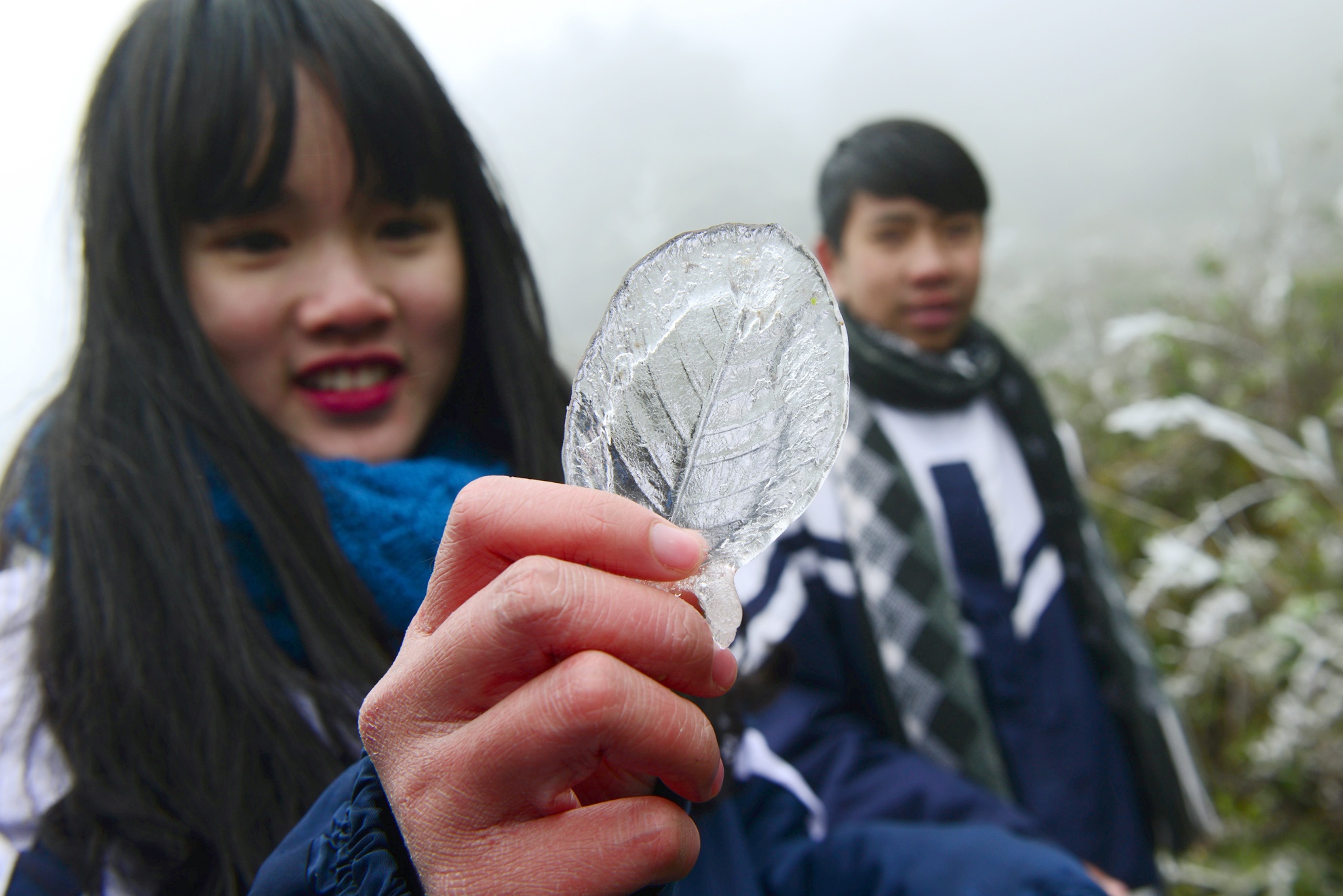 Khach du lich len Sapa ngam bang tuyet hinh anh