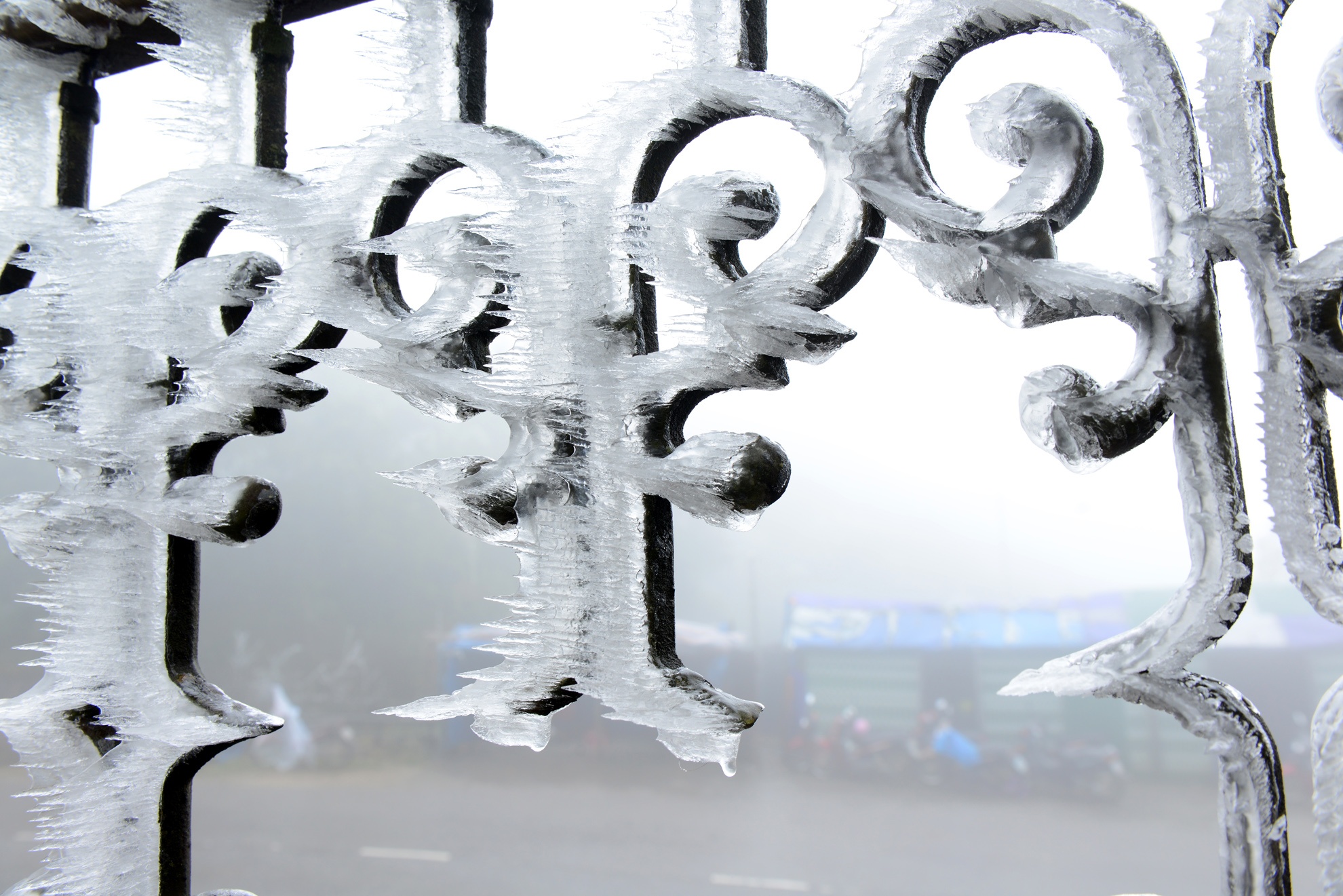 Bang gia bao phu Sapa hinh anh