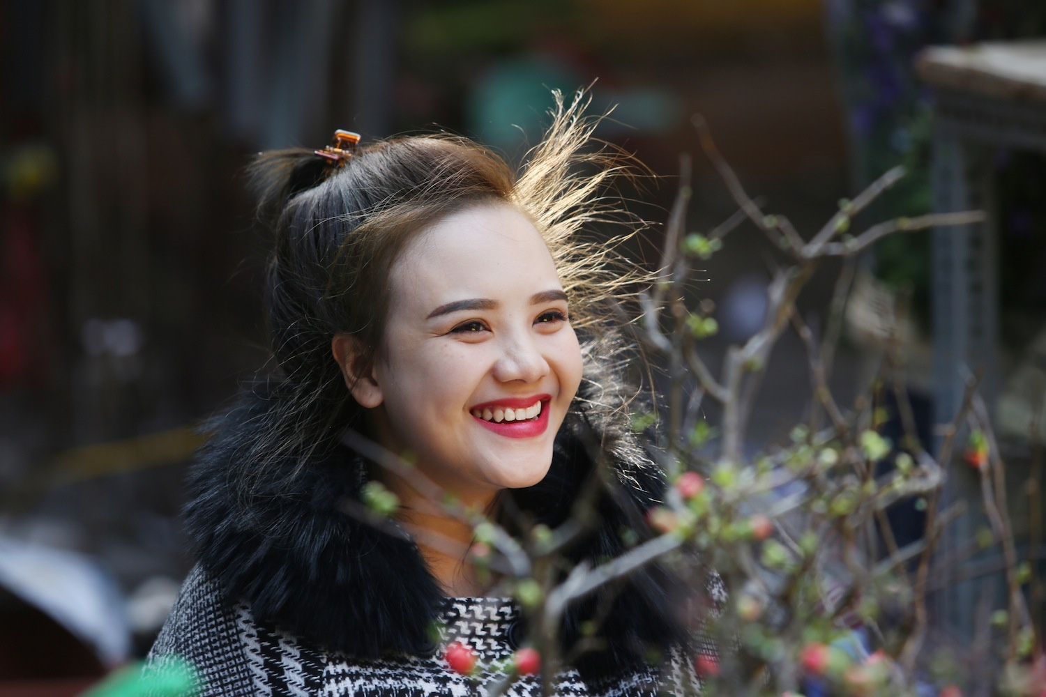 Ha Noi nang vang trong gia ret ngay cuoi nam hinh anh