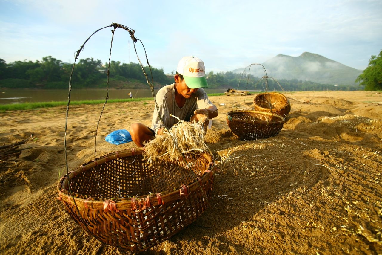 uom gia trong cat anh 4