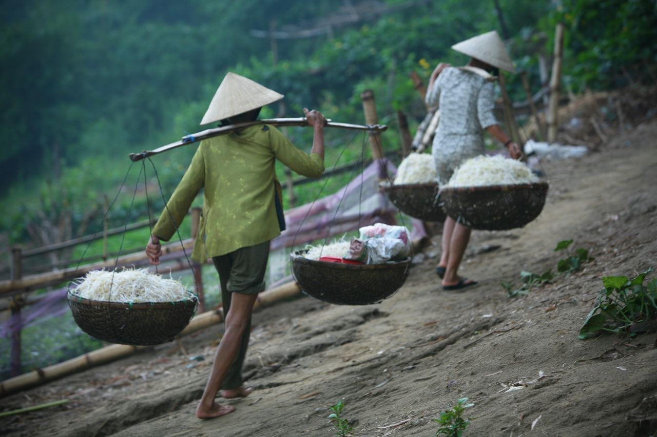 uom gia trong cat anh 8