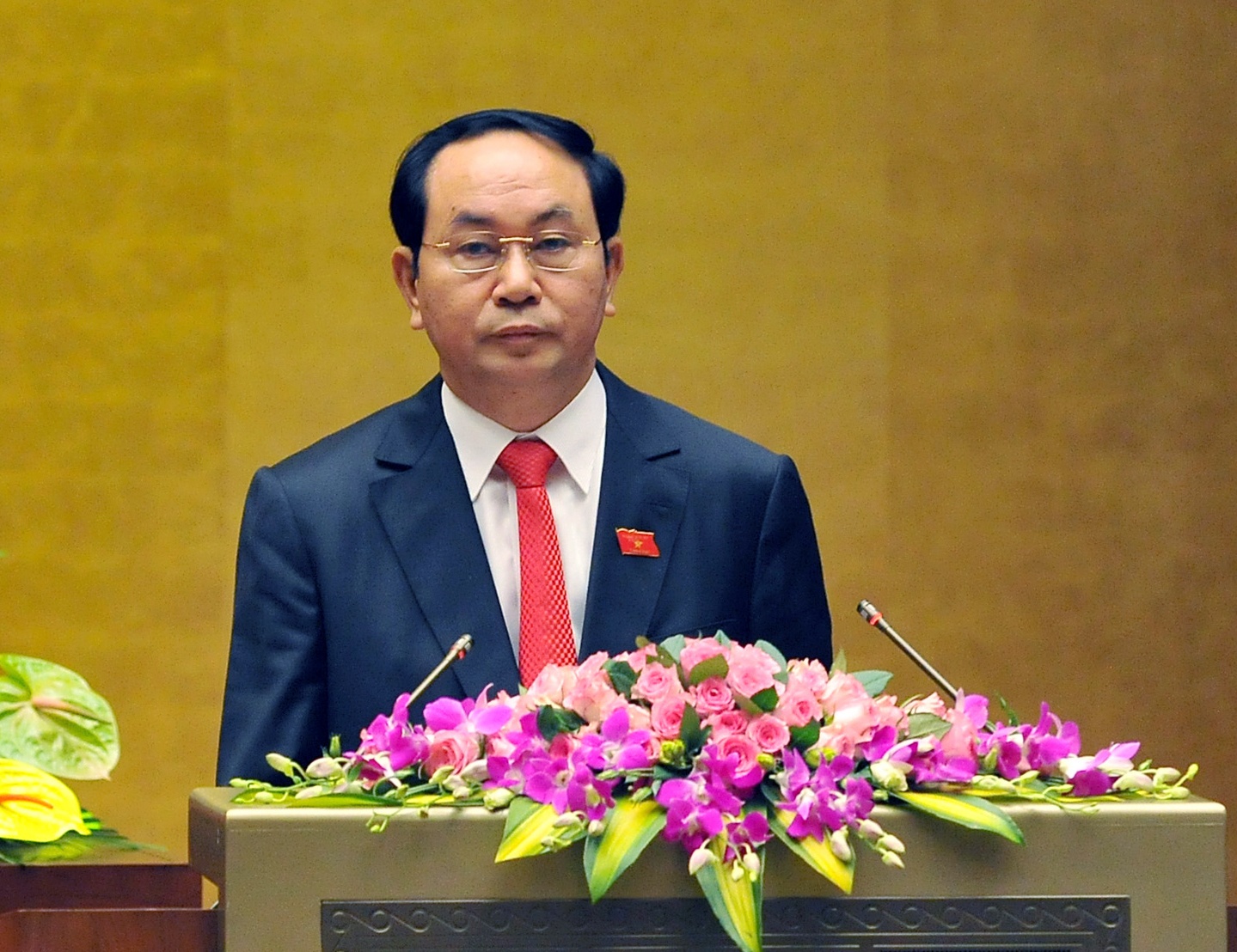 Chủ tịch nước Trần Đại Quang ảnh 8 Chu tich nuoc Tran Dai Quang anh 8