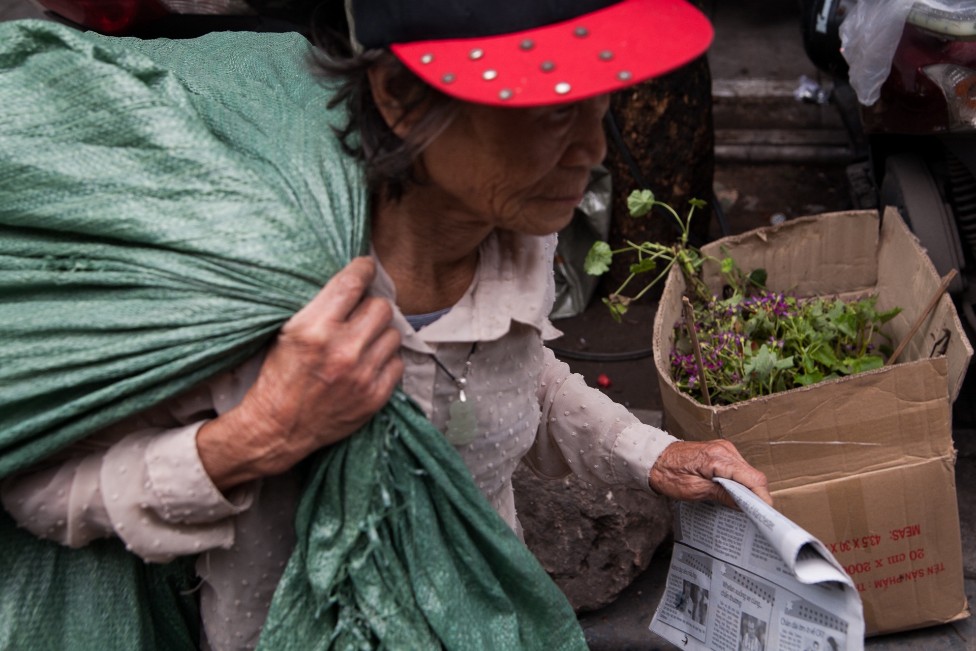 Hanh trinh nhat rac cua cu ba co doc tren bai song Hong hinh anh