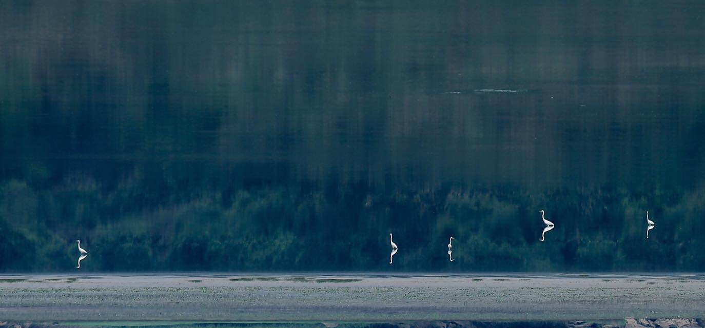 Du lich ho Tuy Lai anh 7