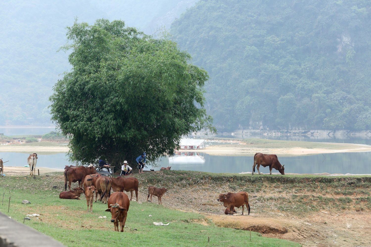 Du lich ho Tuy Lai anh 4