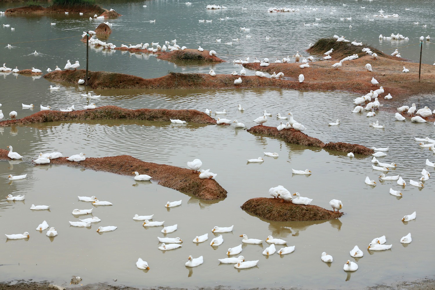 Du lich ho Tuy Lai anh 6