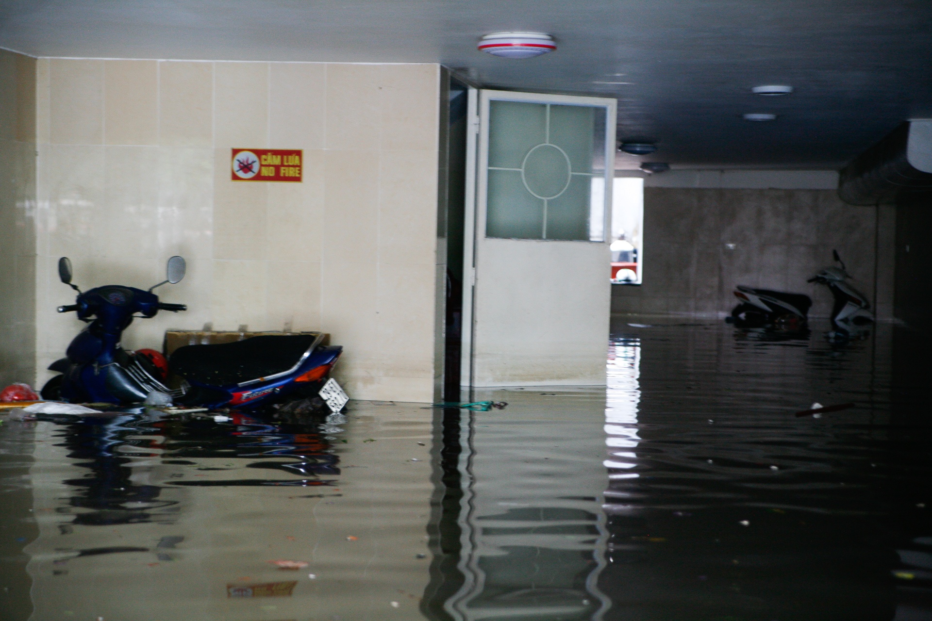 Mua lon Ha Noi ngap sau anh 11