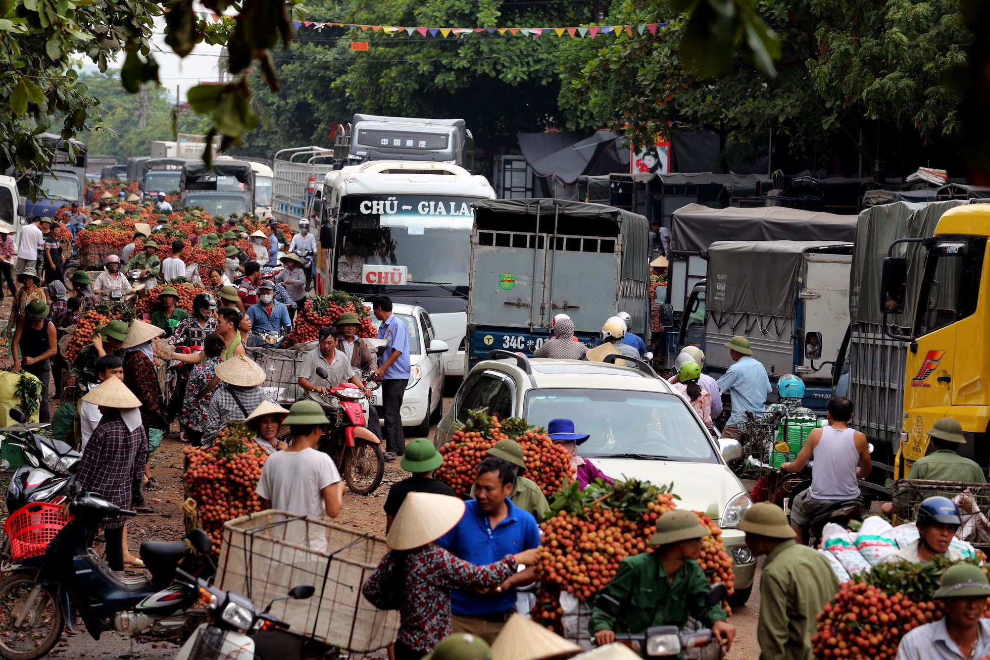 Cho vai Luc Ngan dong nget anh 1