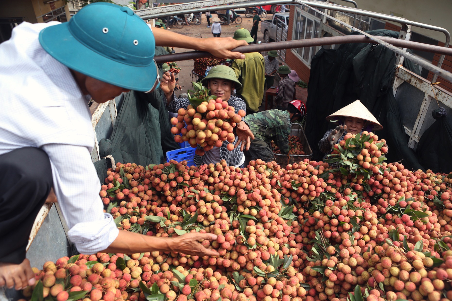 Cho vai Luc Ngan dong nget anh 4