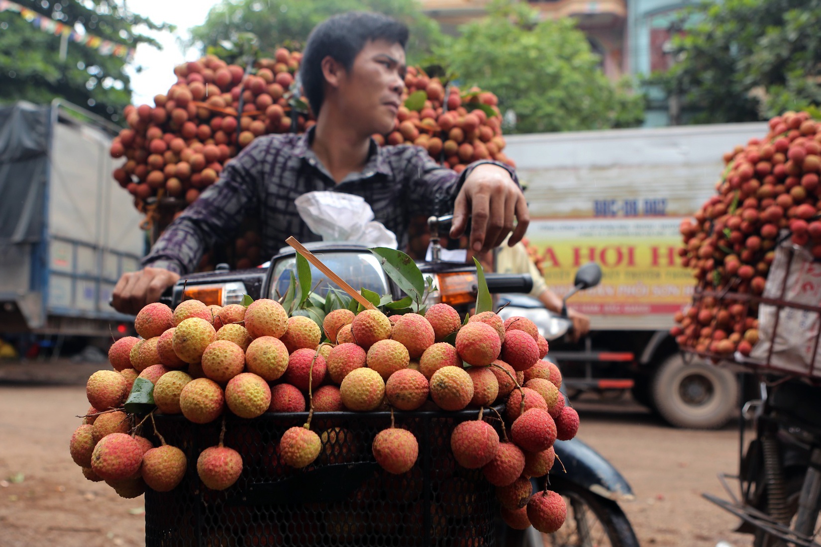 Cho vai Luc Ngan dong nget anh 13