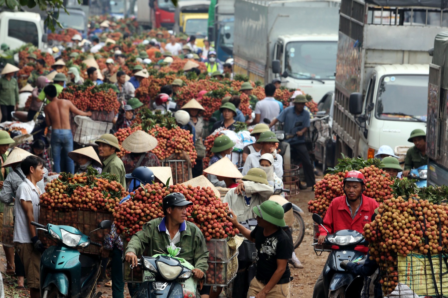 Chợ vải Lục Ngạn đông ngẹt ảnh 5 Cho vai Luc Ngan dong nget anh 5