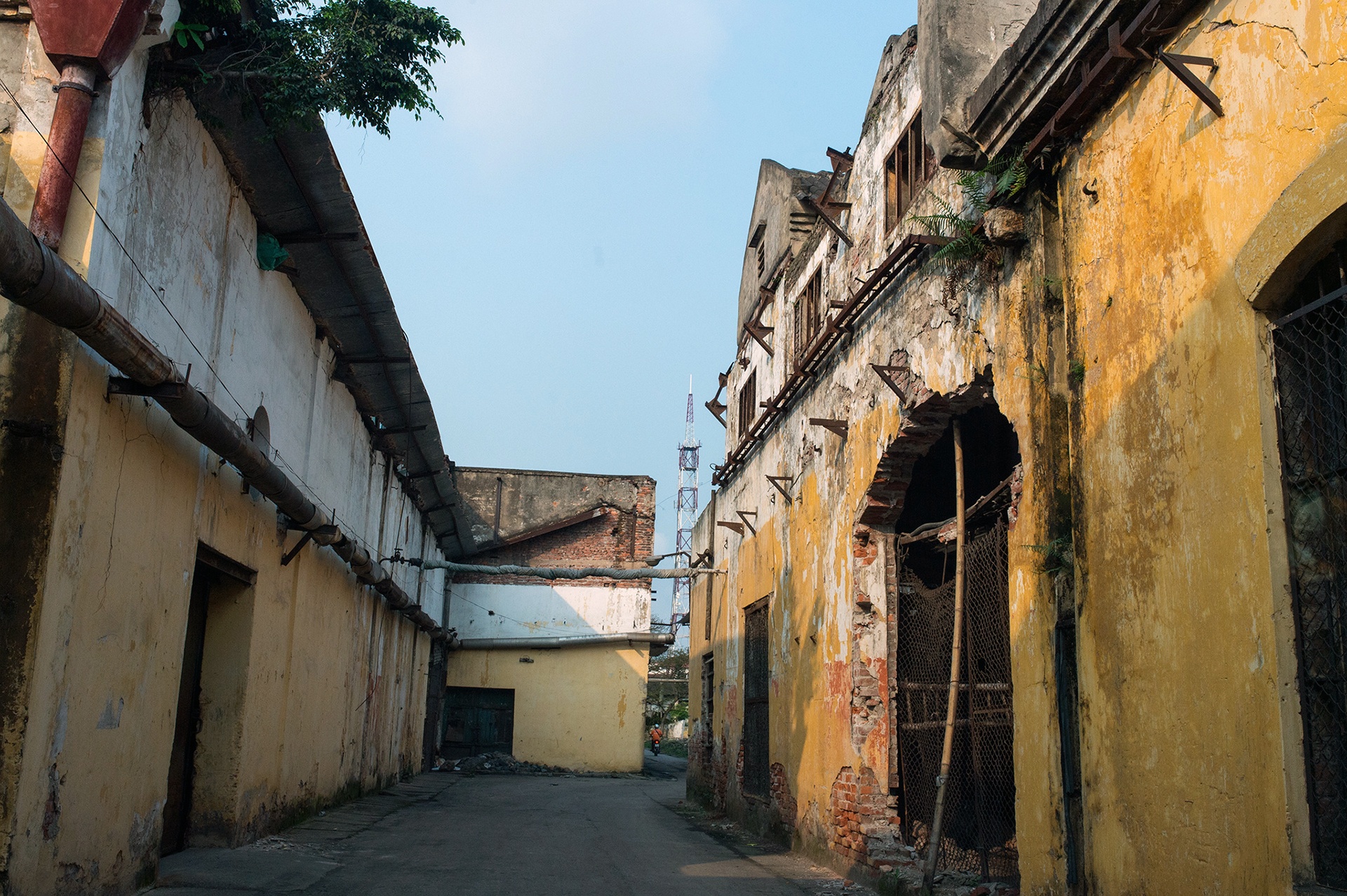 chuyen doi nha may det Nam Dinh anh 12