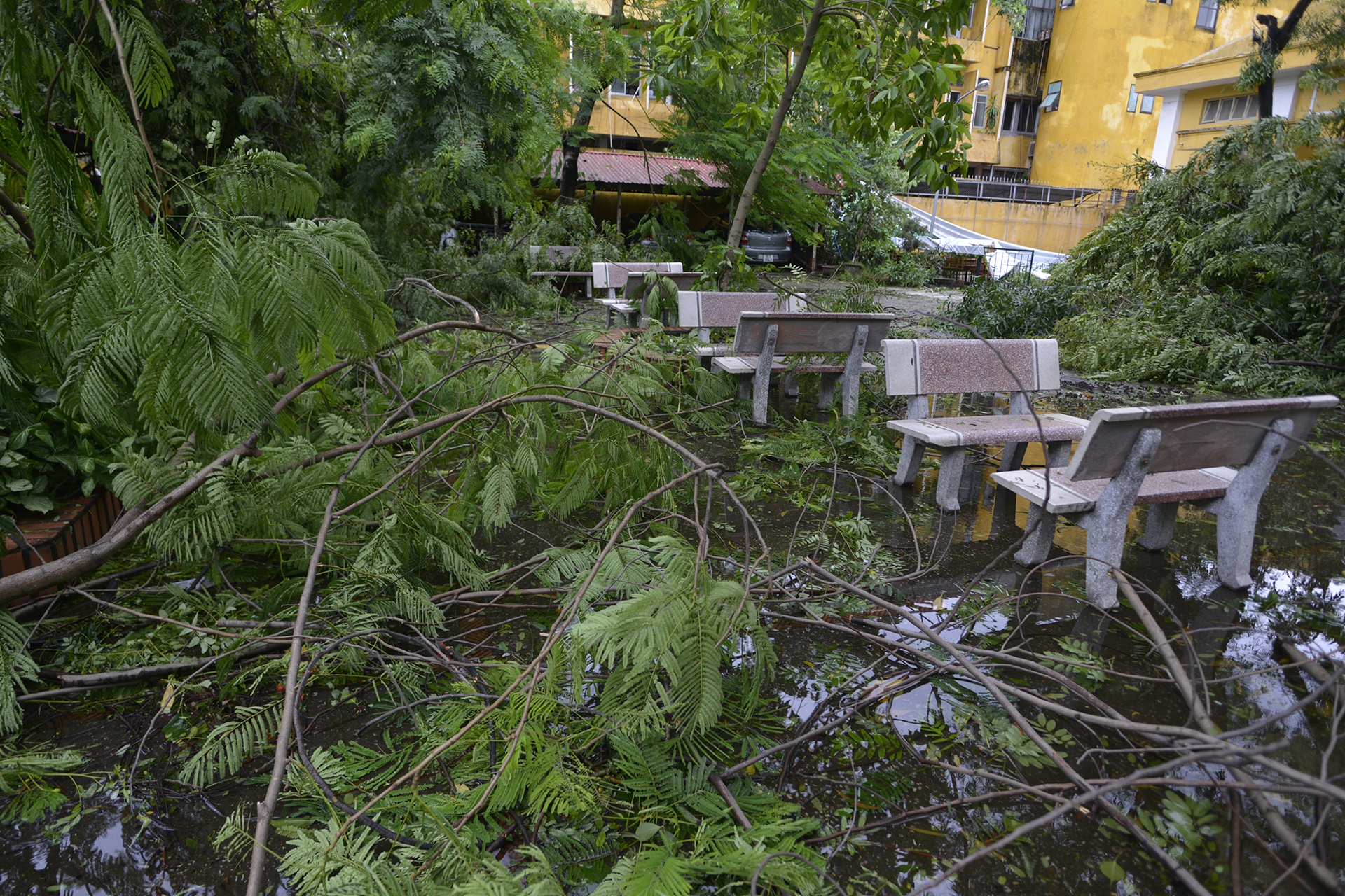 cay do ngon ngang Ha Noi anh 10