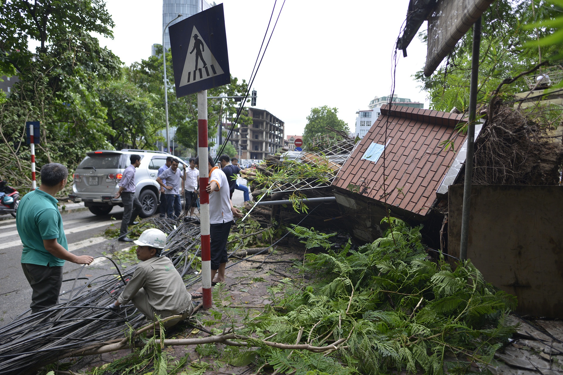 cay do ngon ngang Ha Noi anh 11