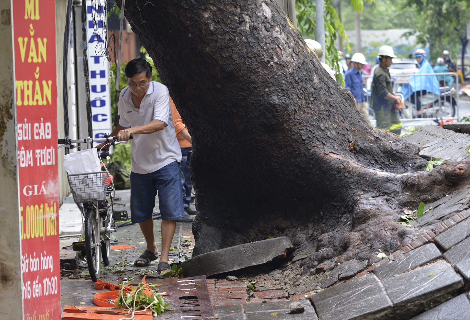 cay do ngon ngang Ha Noi anh 12