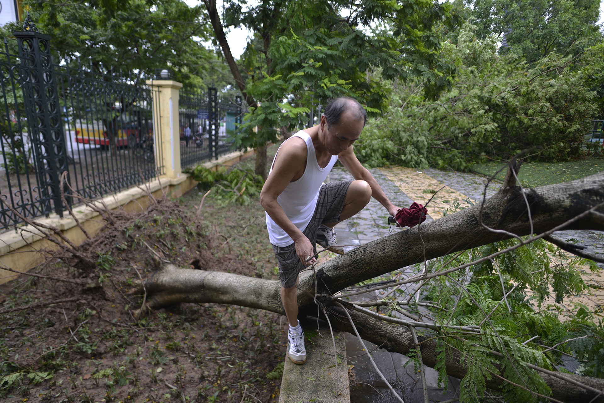 cay do ngon ngang Ha Noi anh 3