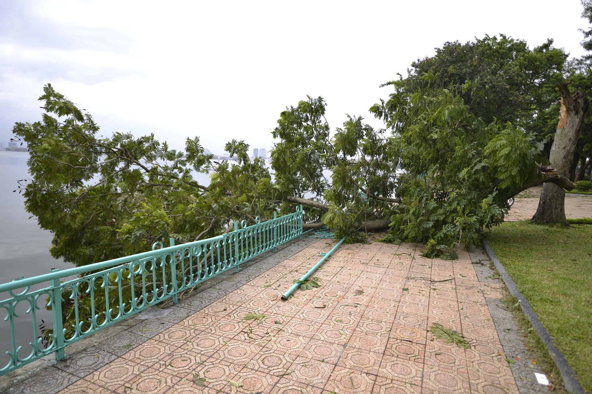 cay do ngon ngang Ha Noi anh 2