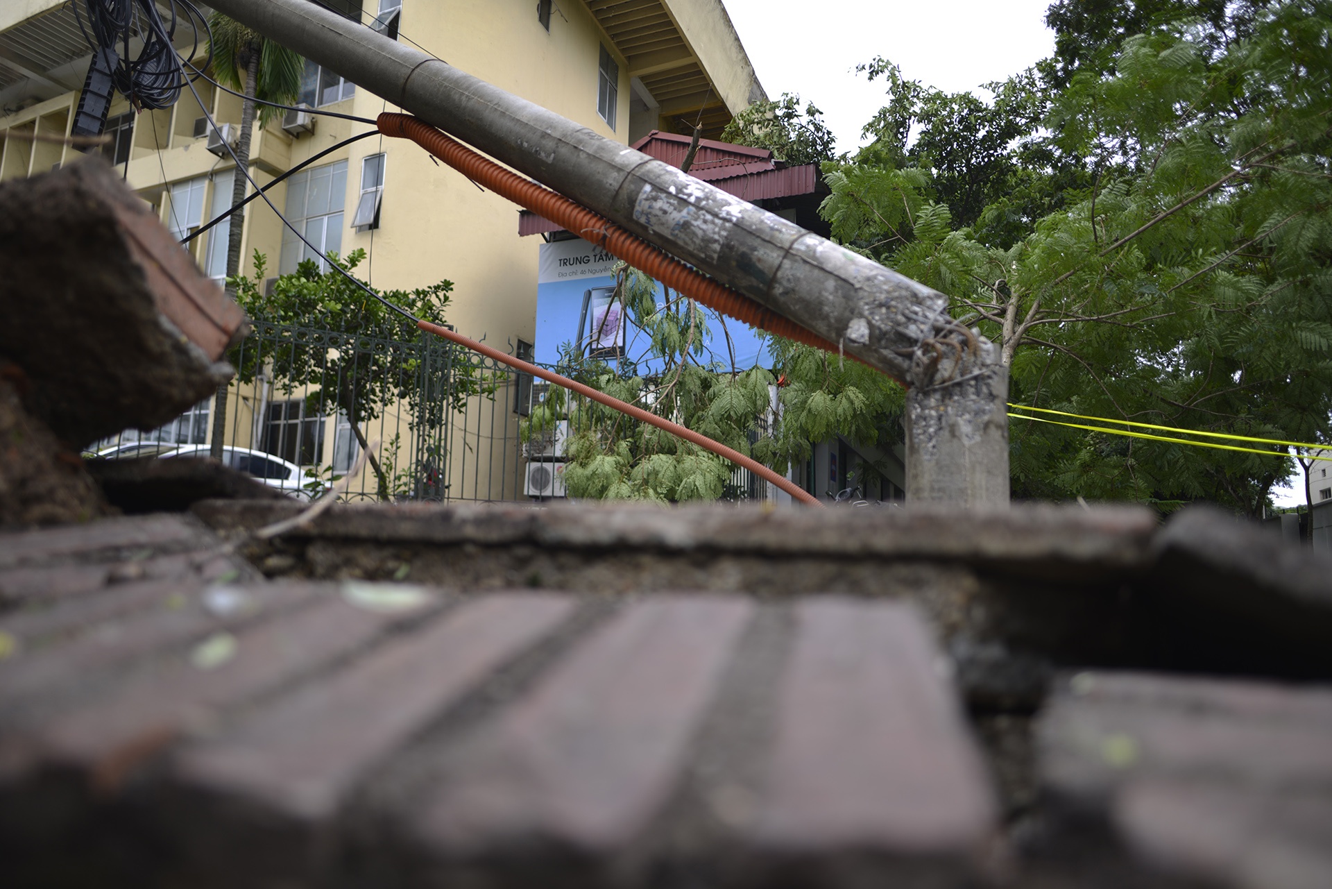 cay do ngon ngang Ha Noi anh 8