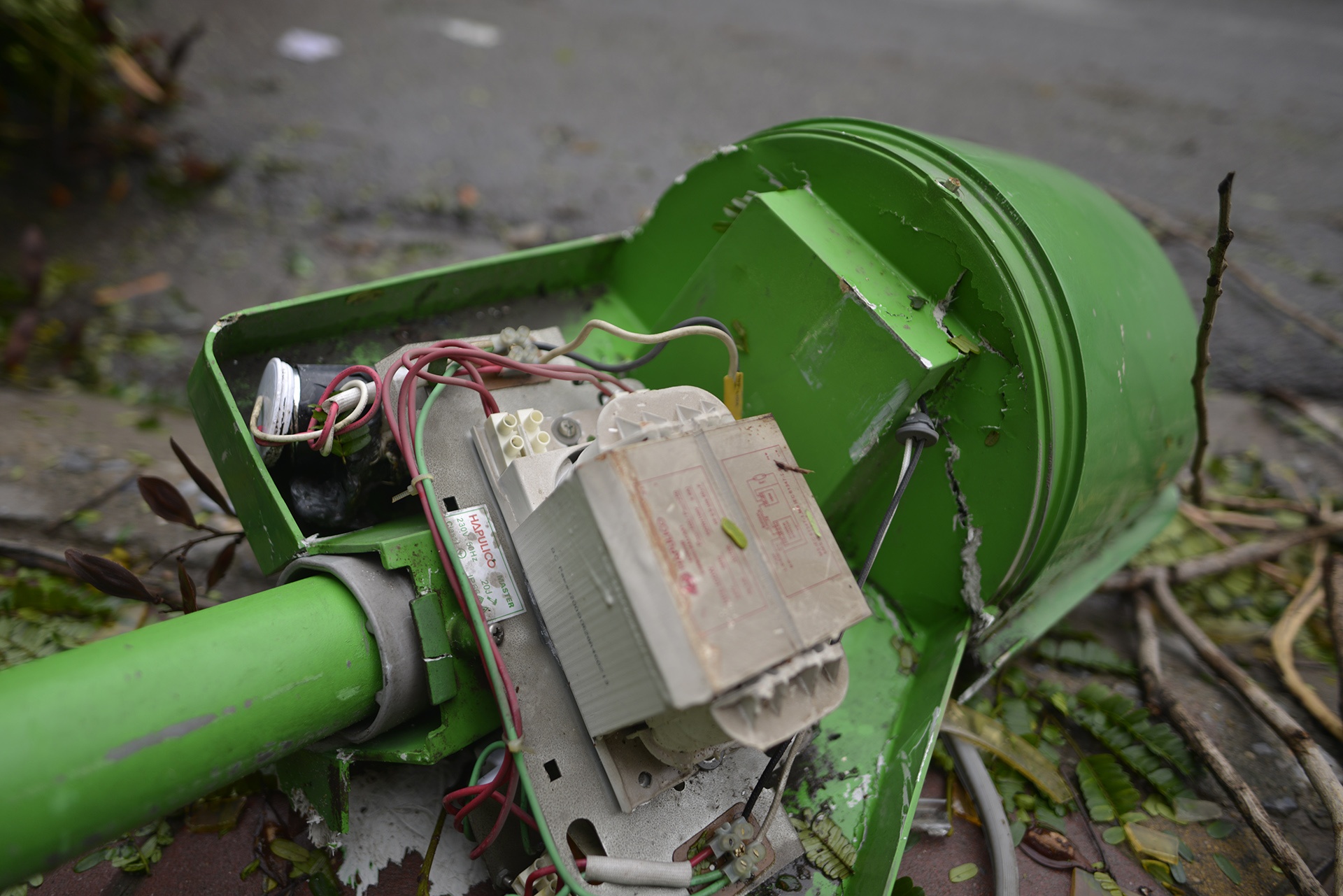 cay do ngon ngang Ha Noi anh 9