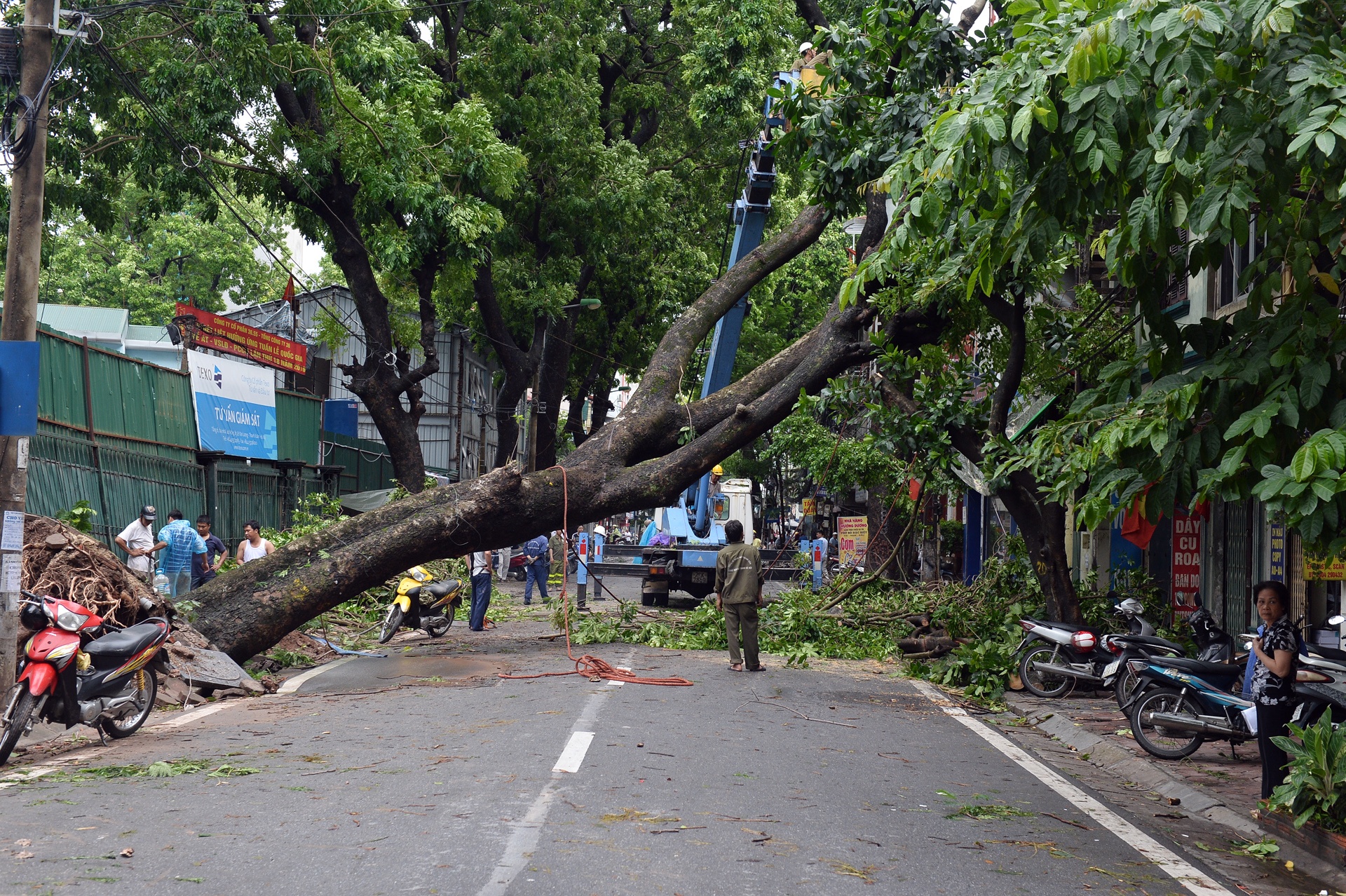 cay do ngon ngang Ha Noi anh 13