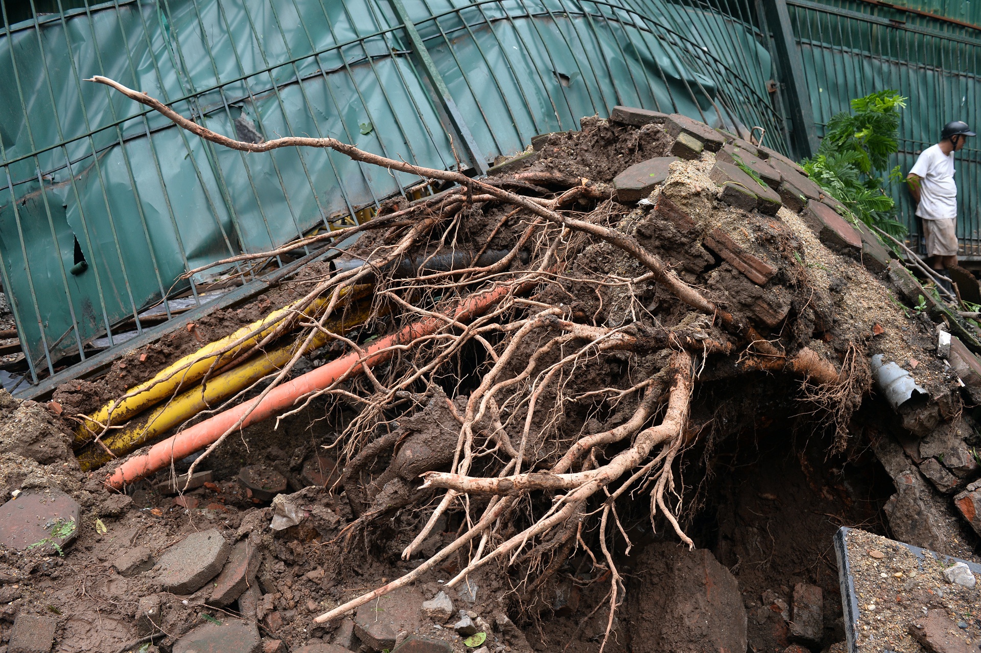 cay do ngon ngang Ha Noi anh 14
