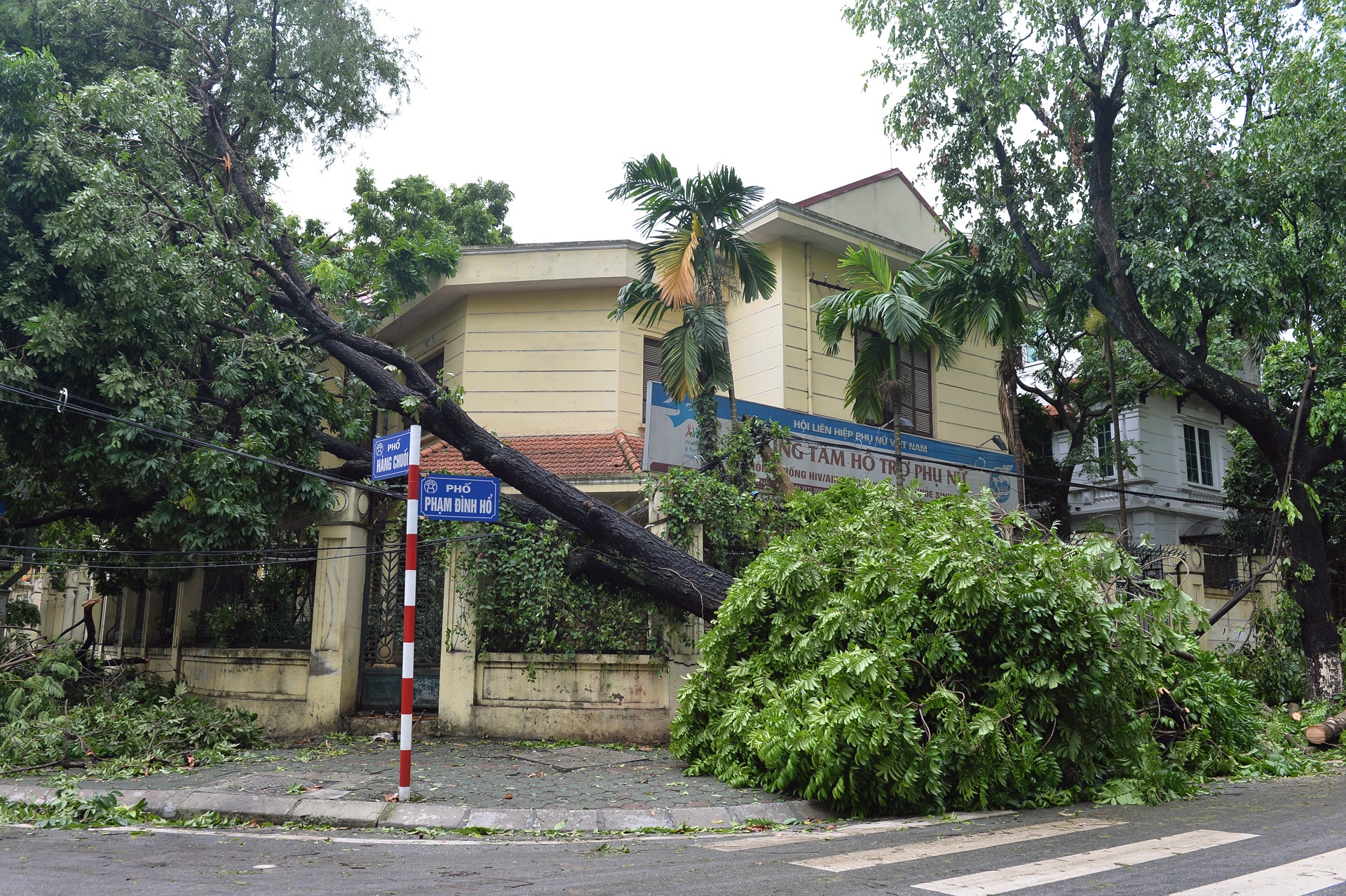 cay do ngon ngang Ha Noi anh 16