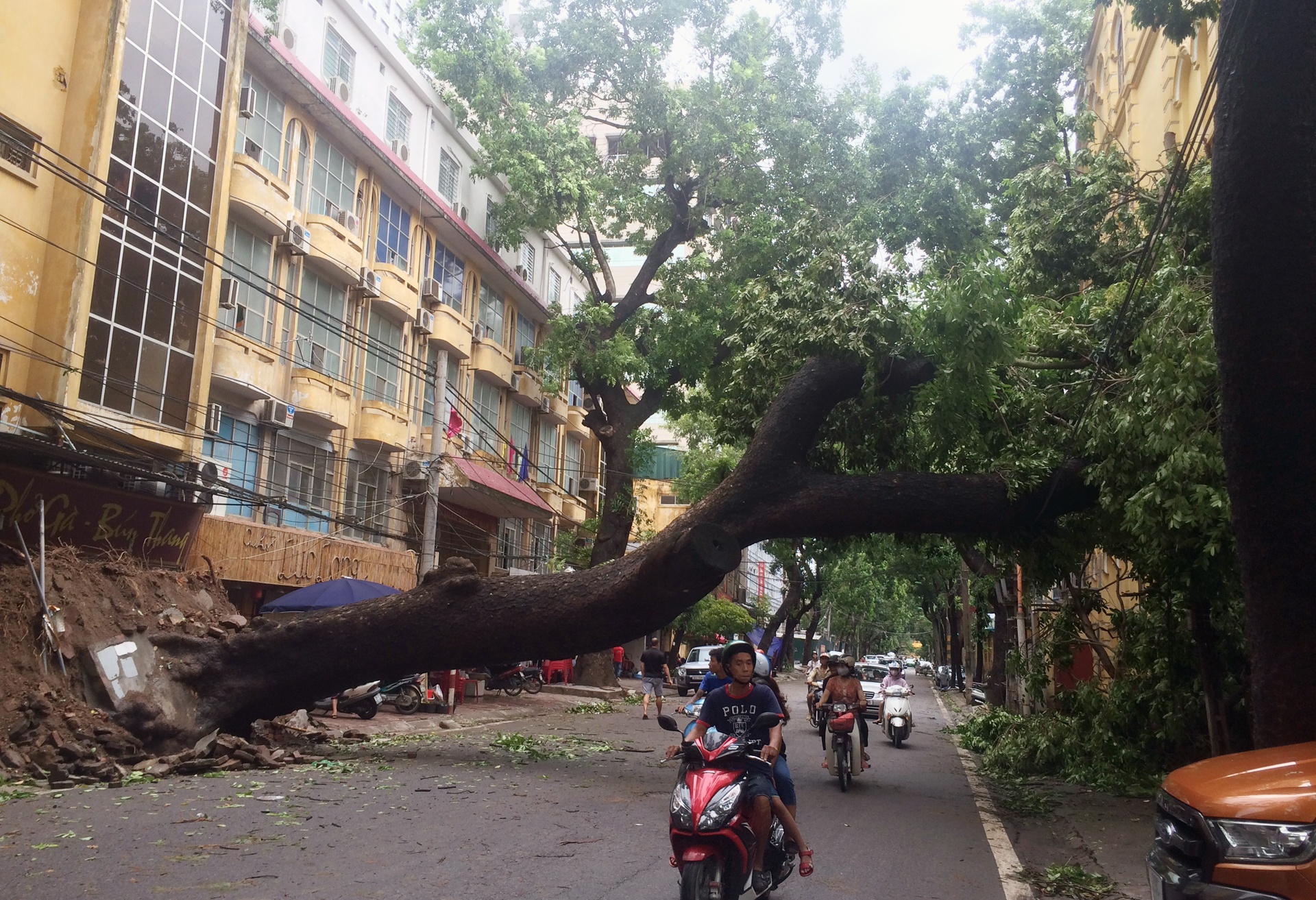 cay do ngon ngang Ha Noi anh 17