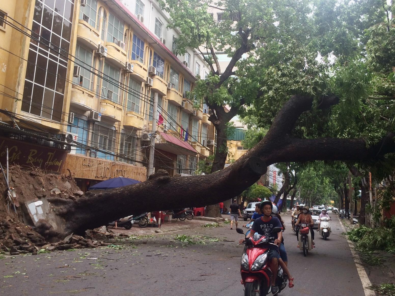 Ha Noi ngon ngang nua ngay sau mua bao hinh anh