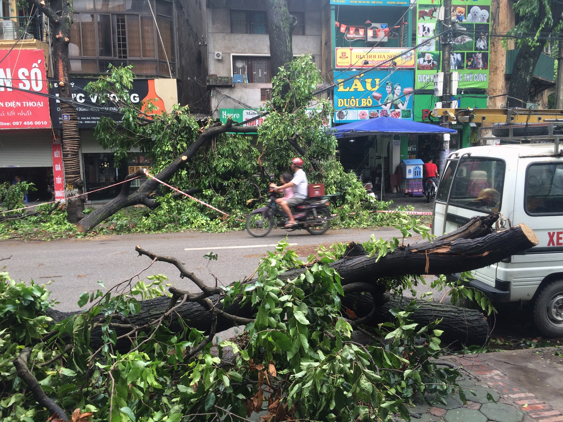 cay do ngon ngang Ha Noi anh 18