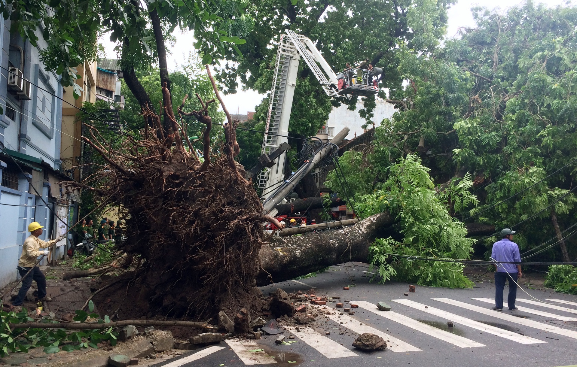 cay do ngon ngang Ha Noi anh 19