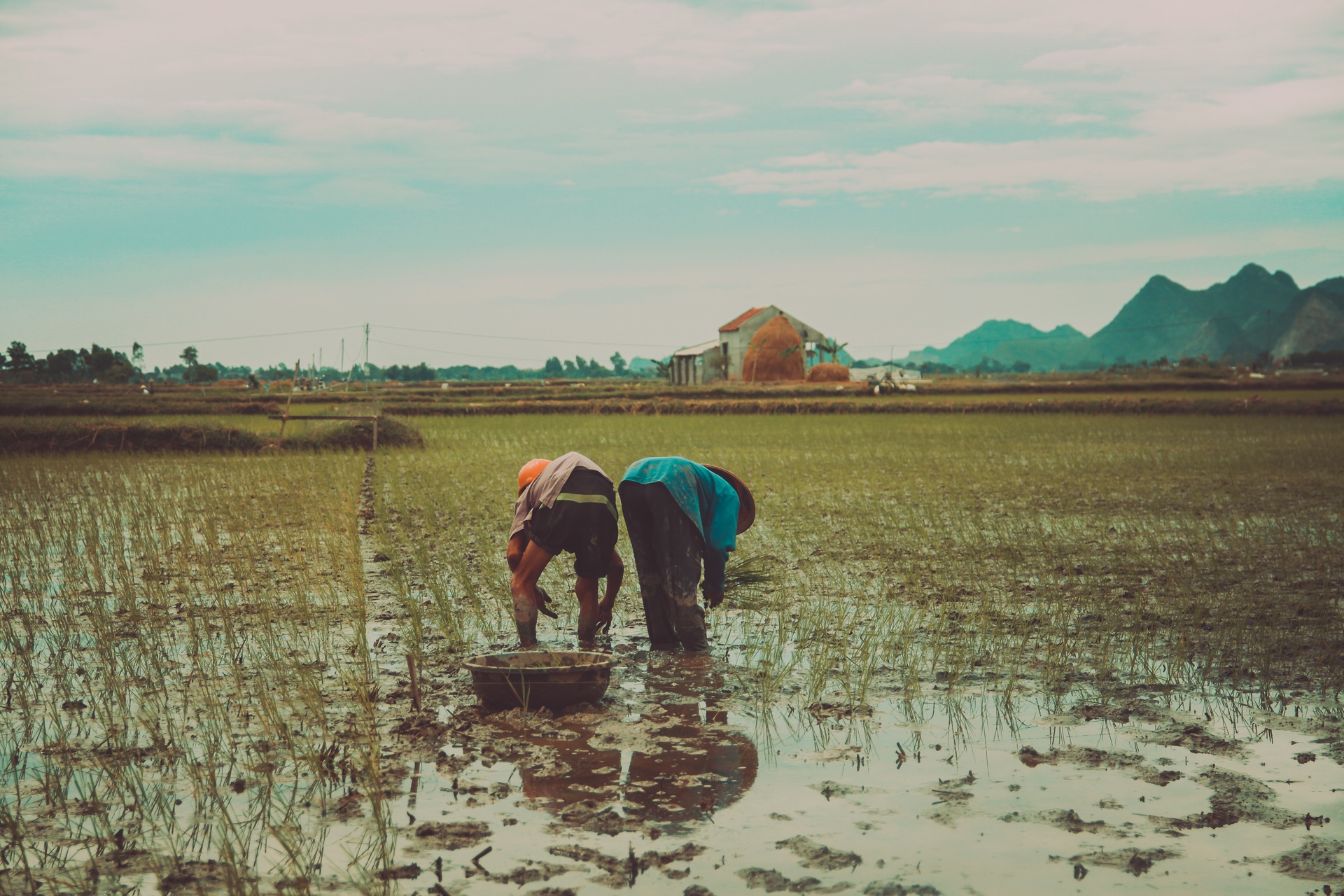 hai cu gia tuoi xe chieu cham soc nhau anh 5