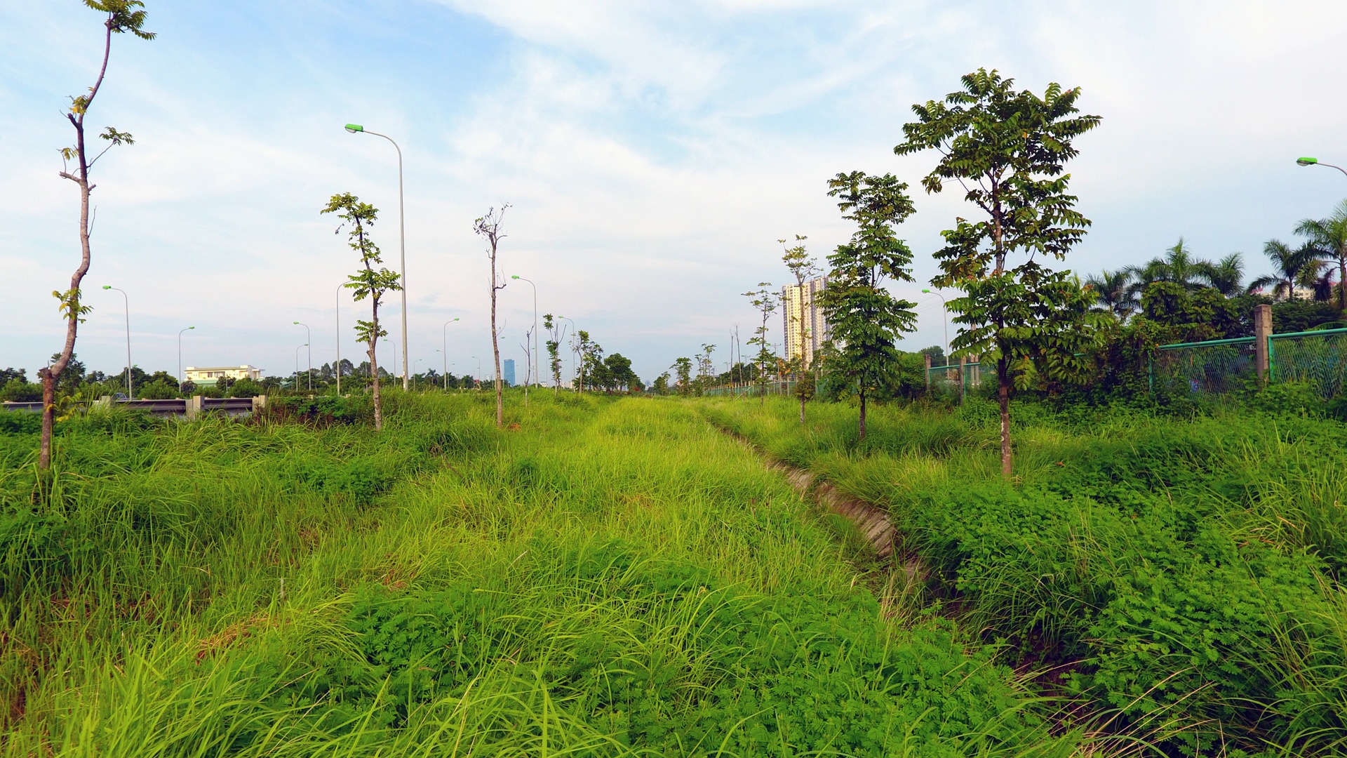 Cat co tien nghin ty o dai lo Thang Long anh 5