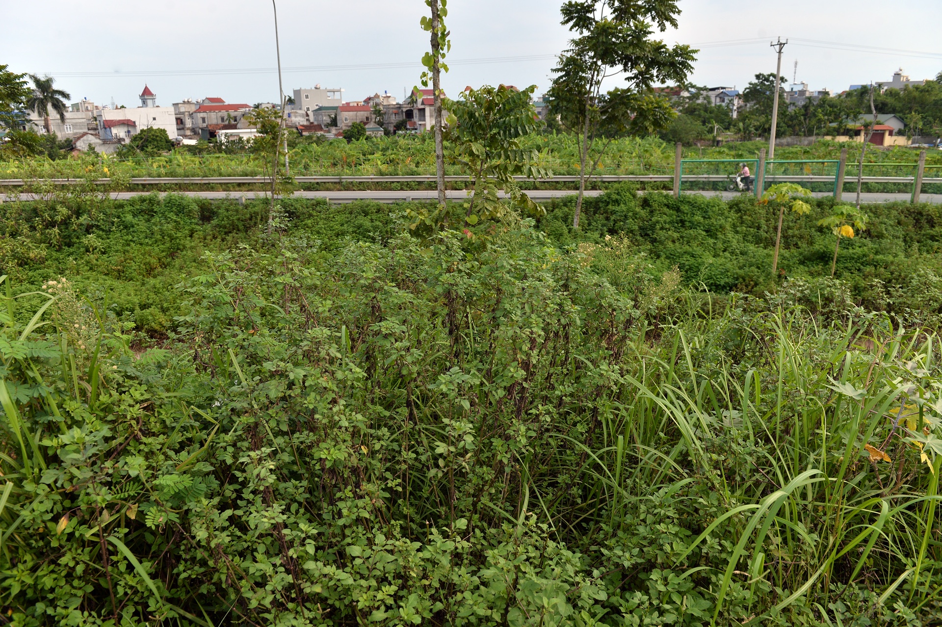 Cat co tien nghin ty o dai lo Thang Long anh 8