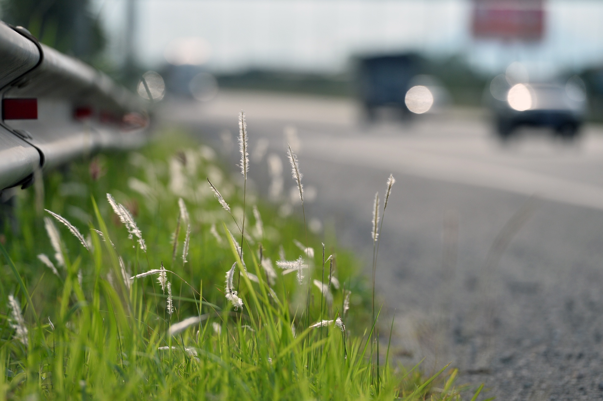 Cat co tien nghin ty o dai lo Thang Long anh 9