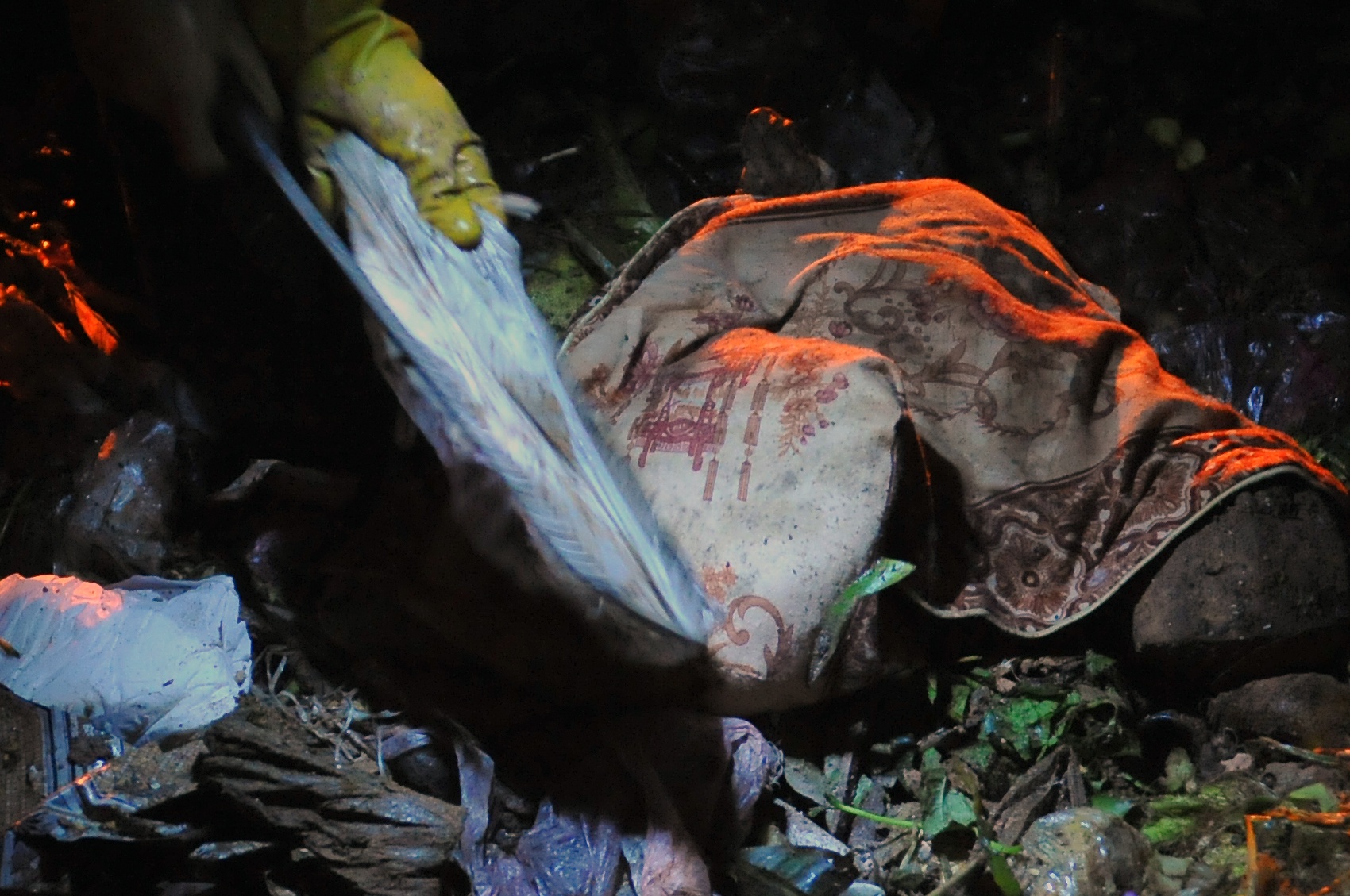 bai rac Nam Son lon nhat Ha Noi anh 11