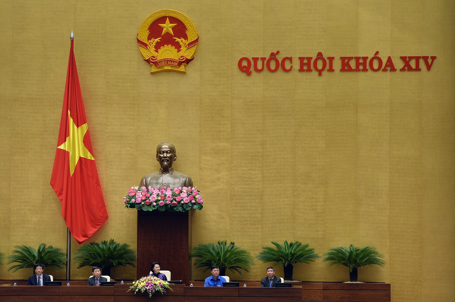 Chu tich Quoc hoi gap go thanh nien Viet Nam anh 3