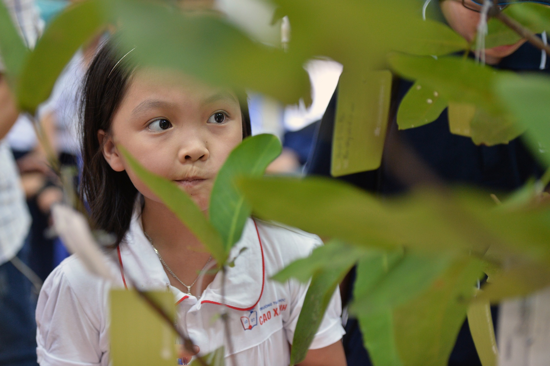 chuyen bay trang ram anh 3
