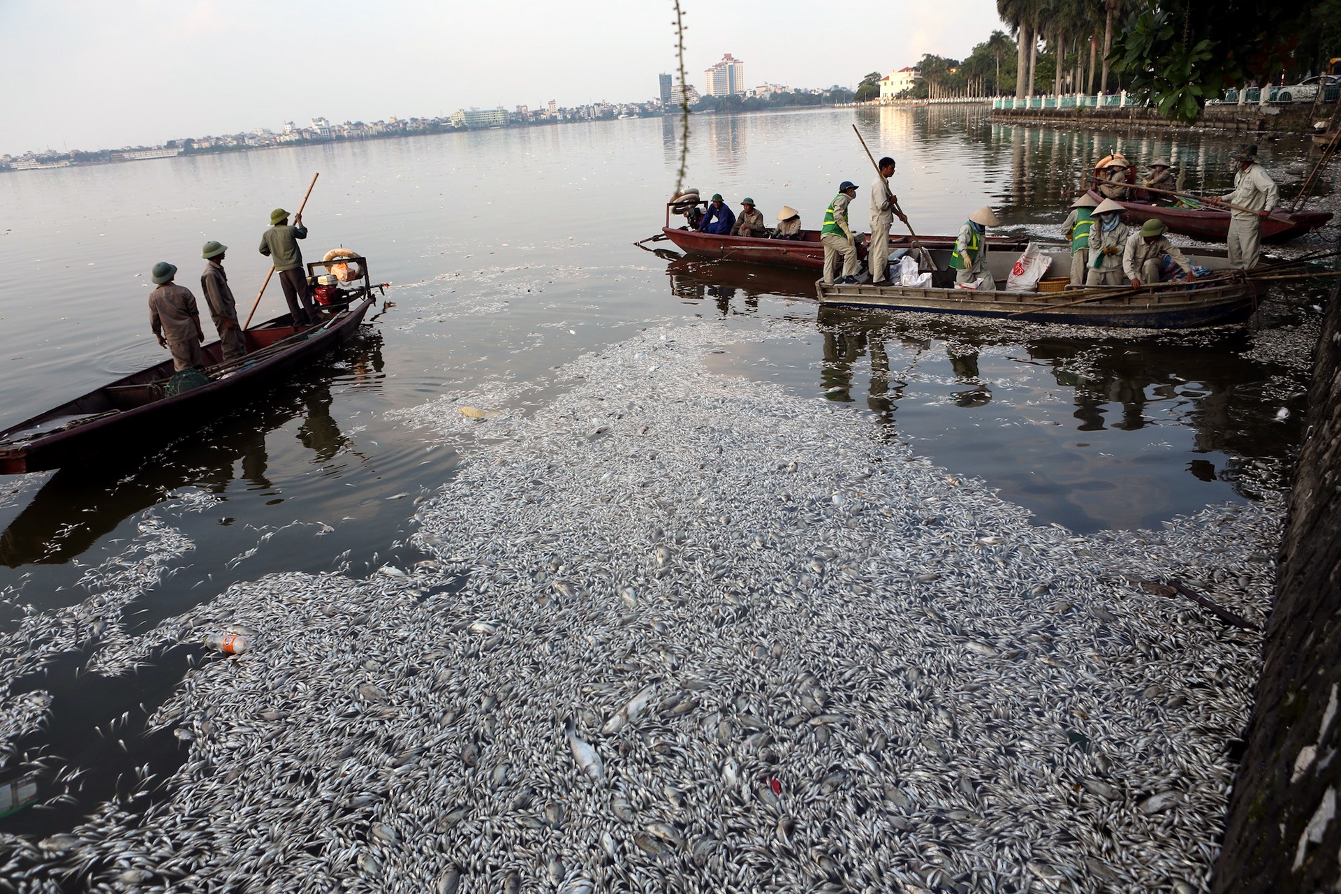 ca chet tren ho Tay Ha Noi anh 19