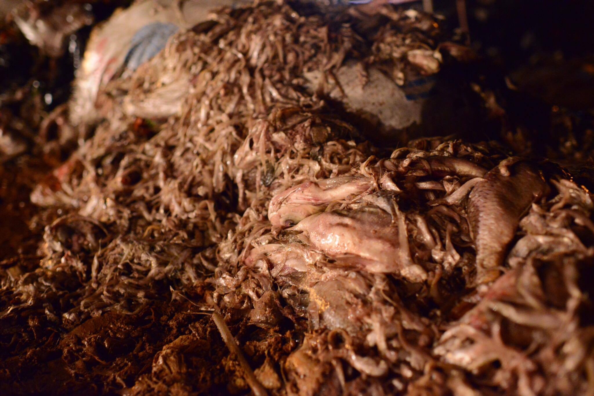 ca chet tren ho Tay anh 10