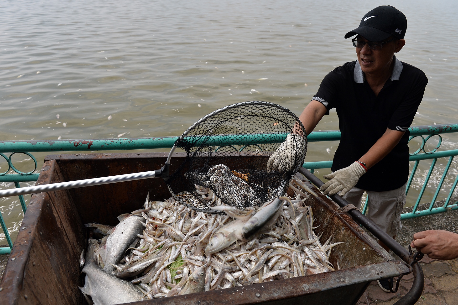 ca chet noi trang ho Tay anh 13