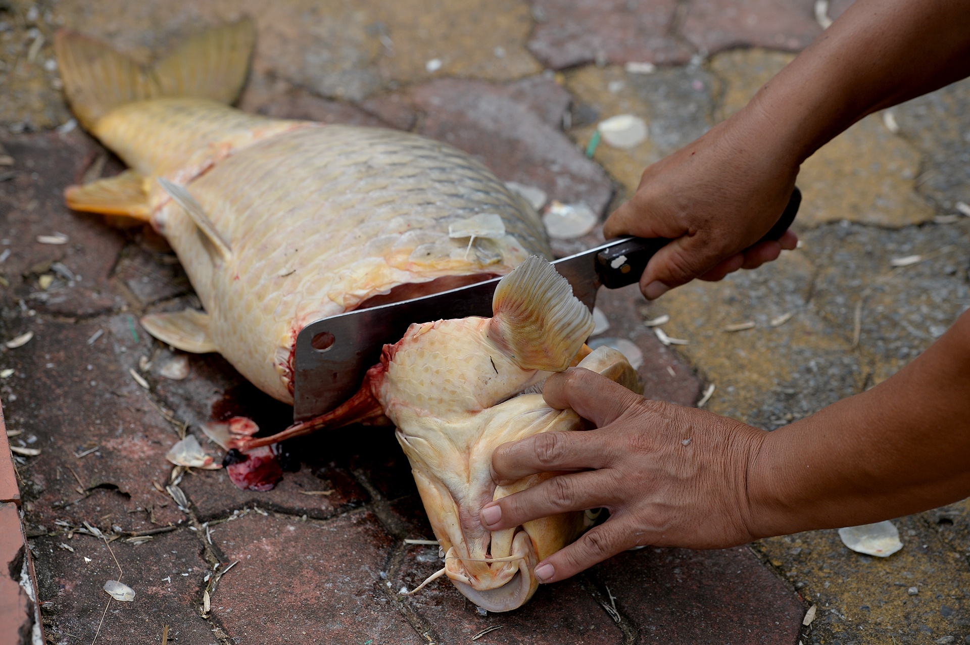 ca chet tren ho Tay Ha Noi anh 10