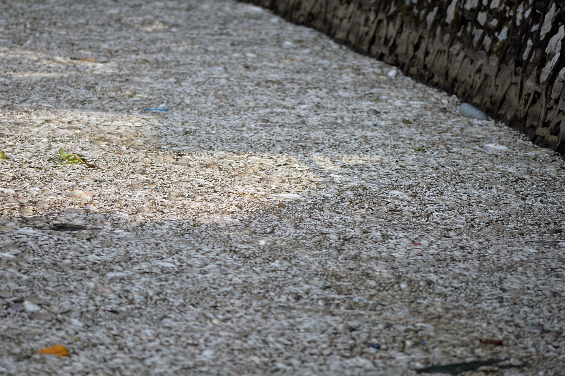 ca chet tren ho Tay Ha Noi anh 3